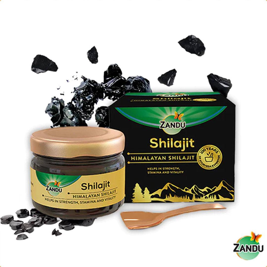 Shilajit Resin (20g)