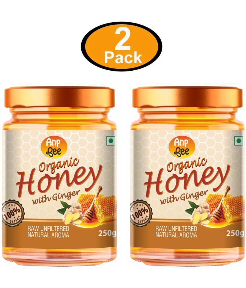 ANP BEE Honey Organic Ginger Honey 250 g Pack of 2