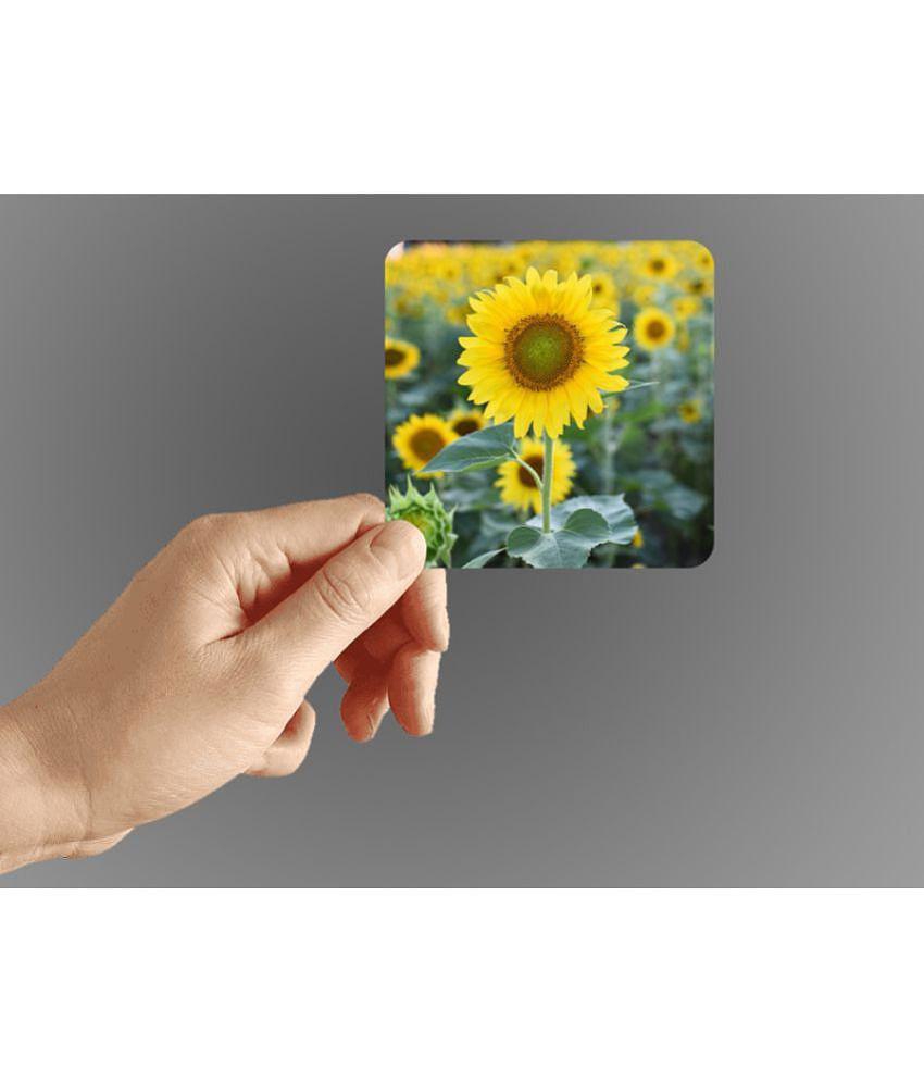 Photojaanic Rubberized Fridge Magnet - Pack of 1