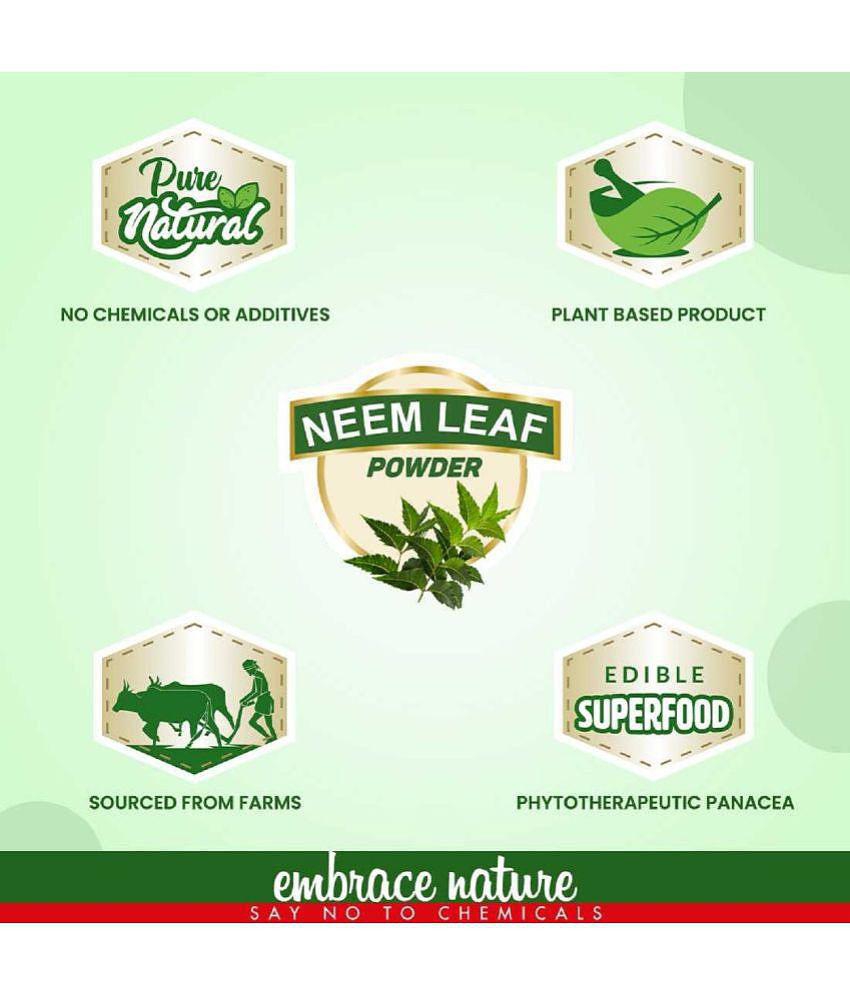 Nature Sure Neem Leaf Powder, 200g with Free Rose Water, 50ml