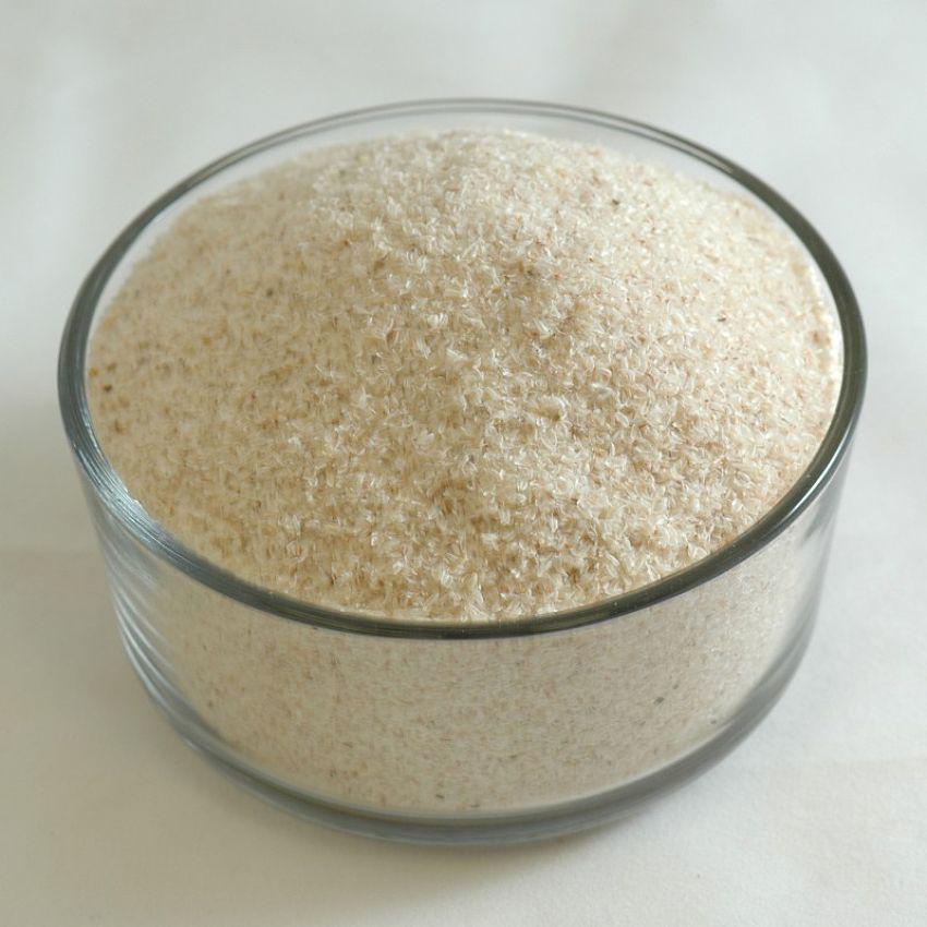 Holy Natural Psyllium Husk Whole 100 gm Vitamins Powder