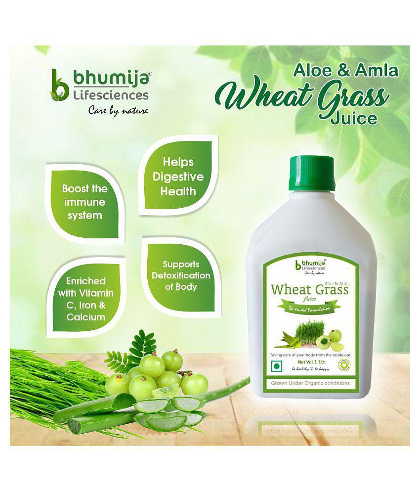 BHUMIJA LIFESCIENCES WheatGrass (Aloe & Amla) Health Drink Liquid 1 l