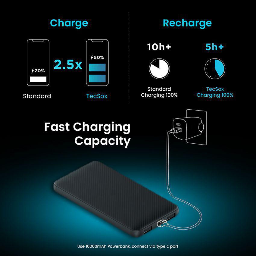 Tecsox 10000 -mAh 5V/2.4A Li-Polymer Power Bank - Black