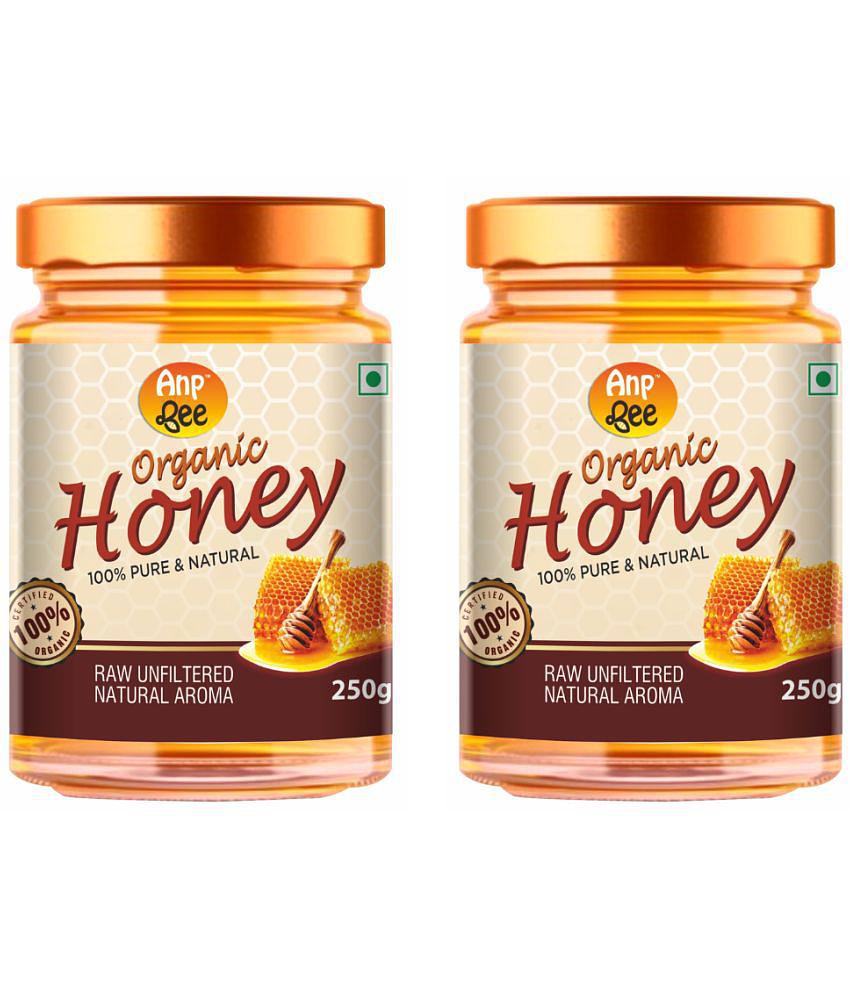 ANP BEE Honey Raw Organic Honey 250 g Pack of 2