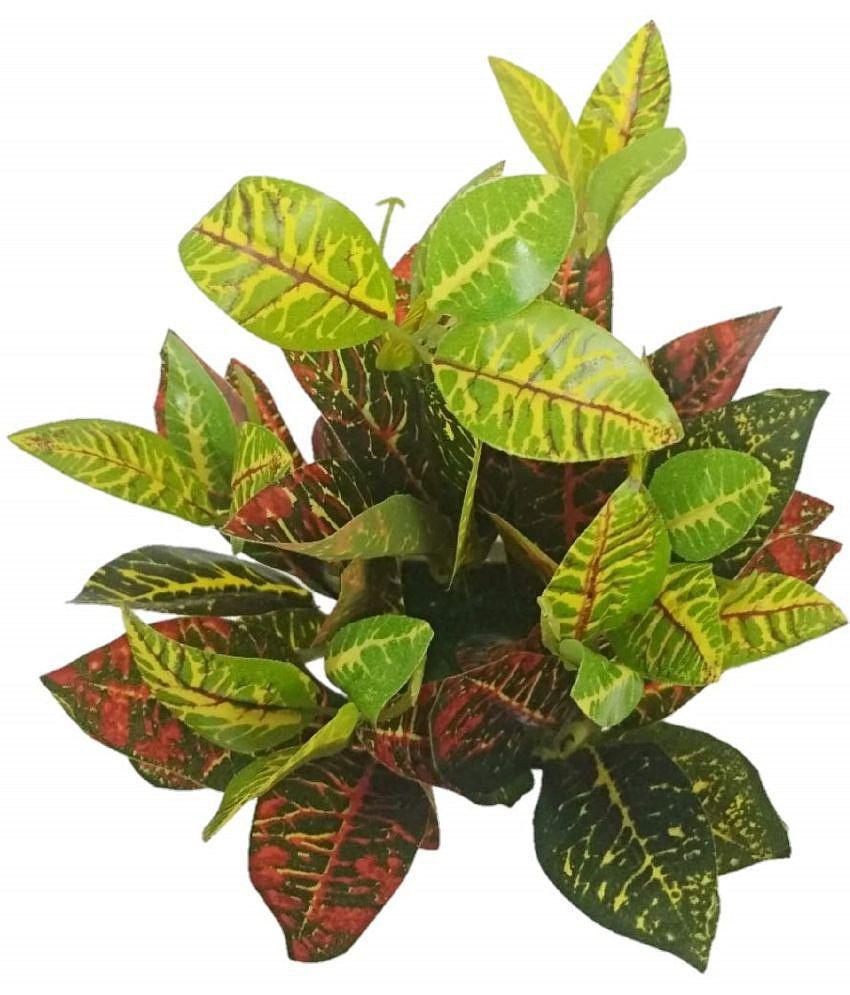 BAARIG - Multicolor Evergreen Artificial Plants Bunch ( Pack of 1 )