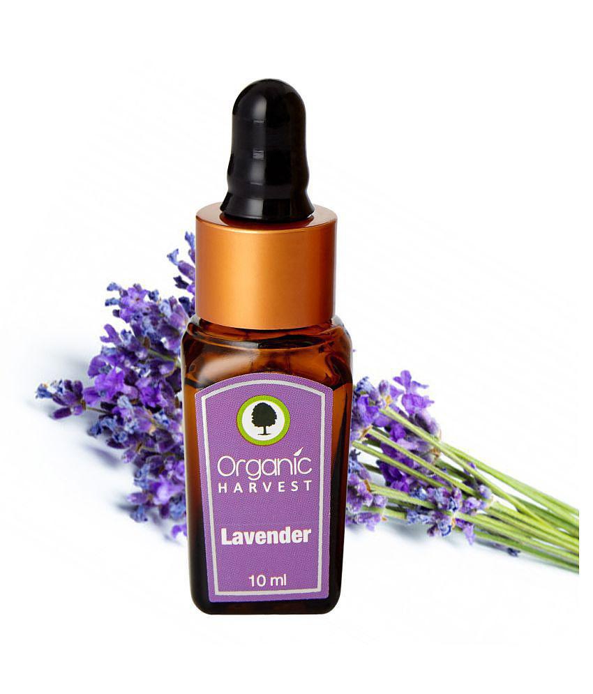 Organic Harvest Lavender Essential Oil, Cures Dry Acne, Hair Growth, Face, Hair Care, Pure & Undiluted Therapeutic Grade Oil, Excellent for Aromatherapy - 10ml