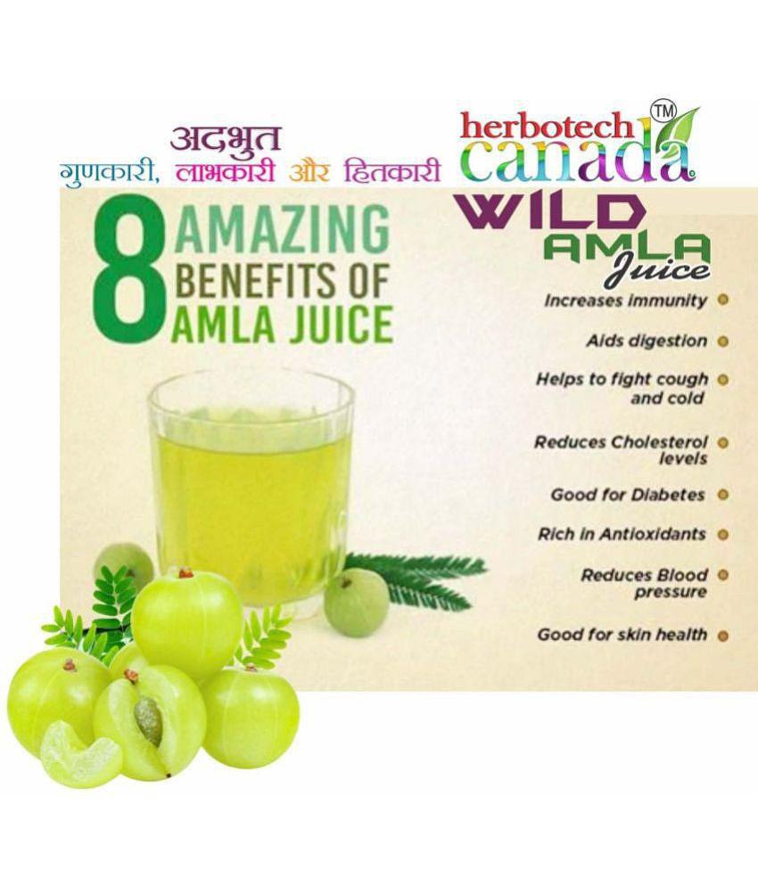 Herbotech Canada WILD AMLA JUICE NATURAL SOURCE OF VIT C, healthy Hair & Skin, Detox juice for weight loss I NO ADDED SUGAR