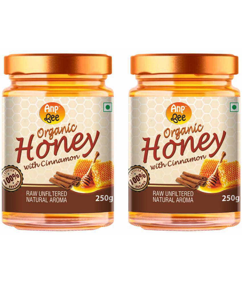 ANP BEE Honey Organic CinnmonHoney 250 g Pack of 2