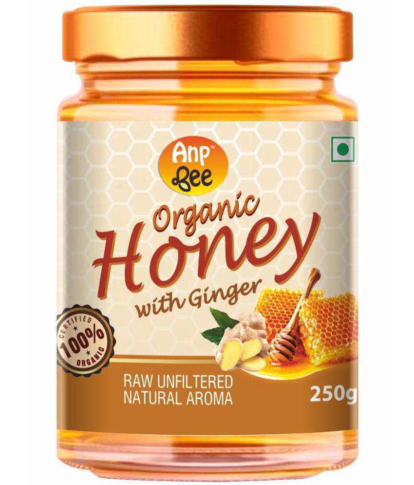 ANP BEE Honey Organic Ginger Honey 250 g