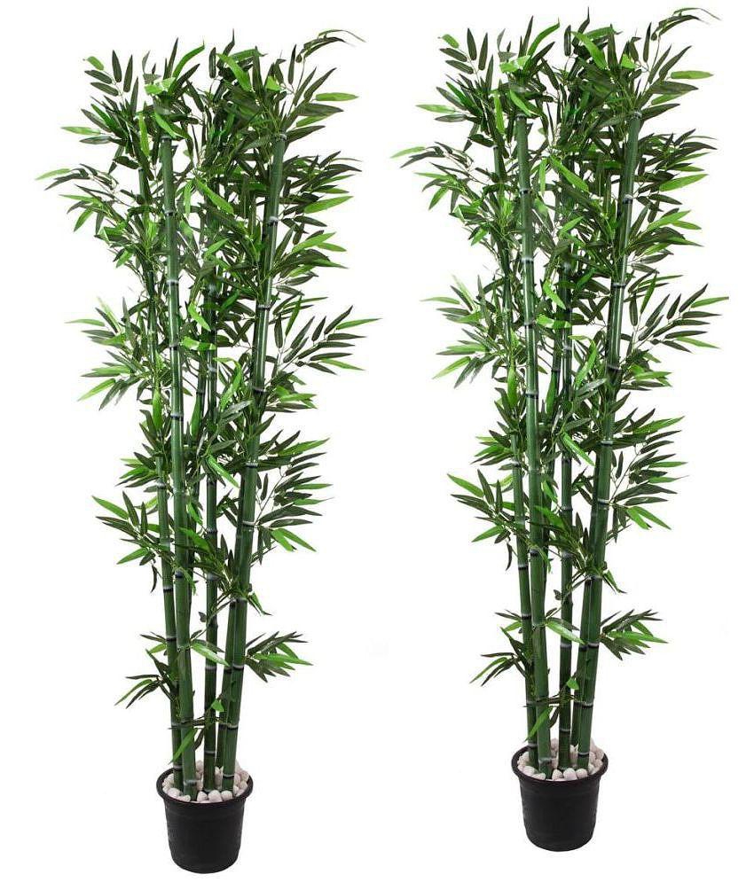 Green plant indoor - Green Wild Artificial Tree ( Pack of 2 )