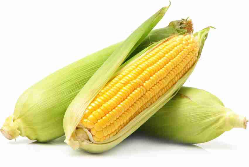 SWEETCORN 500 Grams