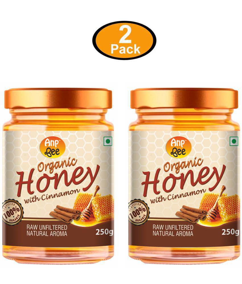 ANP BEE Honey Organic CinnmonHoney 250 g Pack of 2