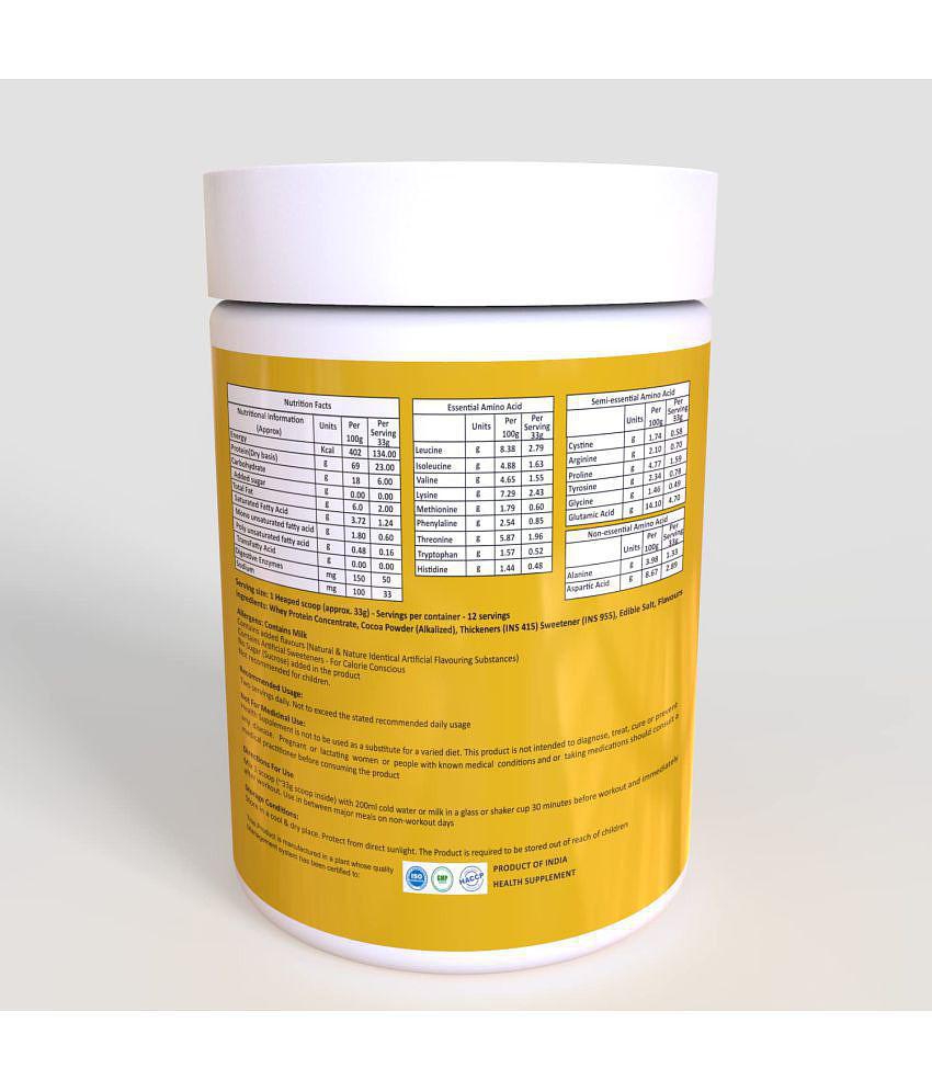 PRO360 Gold Whey Protein Concentrate 400 gm