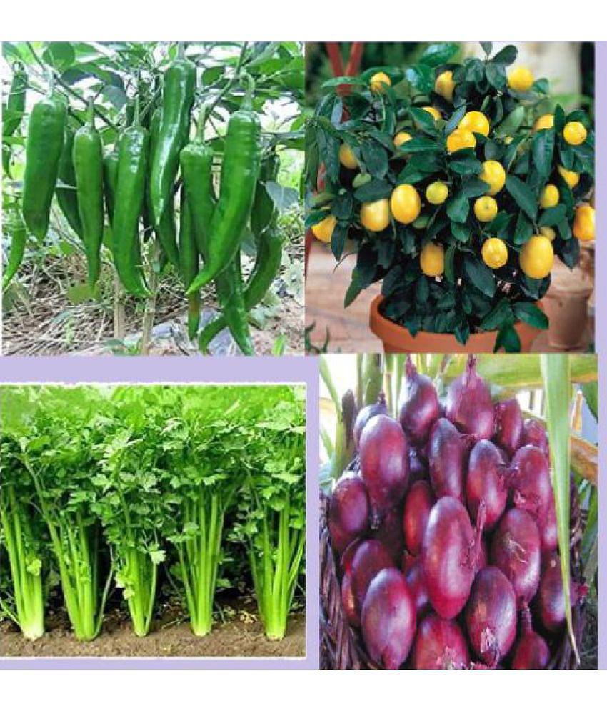 CLASSIC GREEN EARTH - Mixed Vegetable ( 200 Seeds )