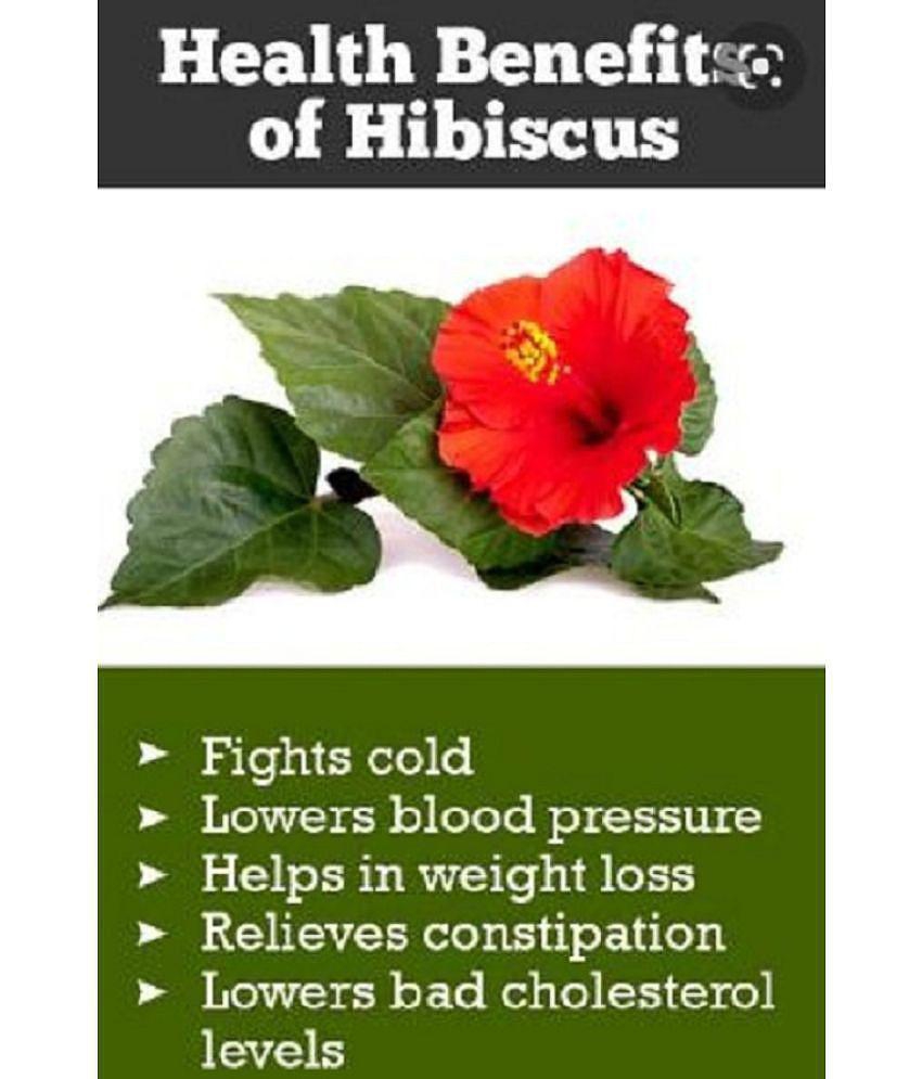 BioMed Hibiscus Capsule 90 no.s Pack Of 1