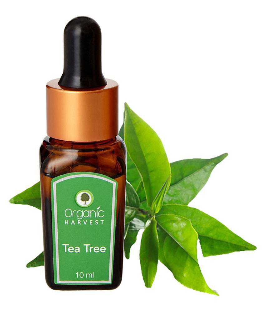 Organic Harvest - Tea Tree Essential Oil 10 mL (Pack of 1)