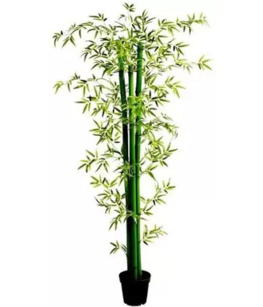 Green plant indoor - Green Wild Artificial Tree ( Pack of 1 )