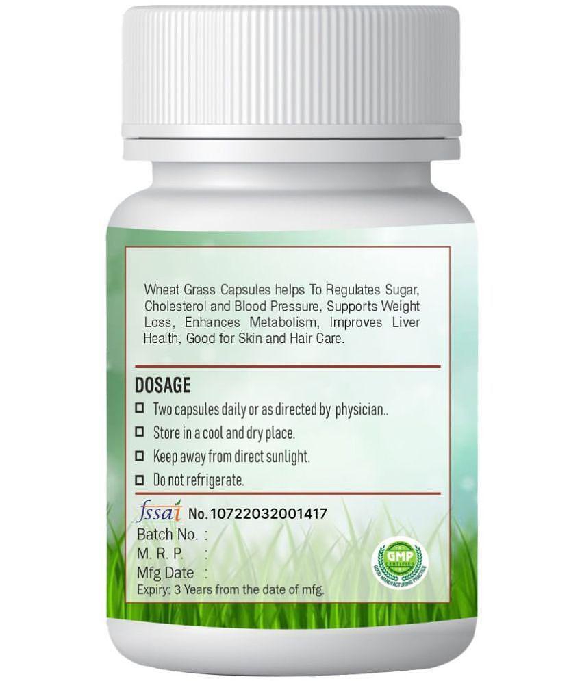 xovak pharmtech Organic Wheat Grass Capsule 100 gm Pack Of 2