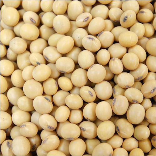 SOYABEANS 250 Grams