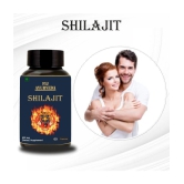 FIJ AYURVEDA Shilajit  Capsule Supports Vigor & Vitality - 500mg 60 Capsules (Pack of 2)