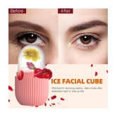 Shopeleven Facial Ice Roller