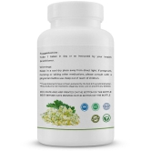 GOLDENACACIA HERRBALS Moringa Flower 1000mg 200 Tablets Tablets 1 no.s