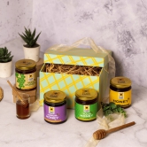 Festive Gift Box of 4 - Natural Honey