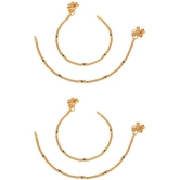 AanyaCentric - Gold Anklets ( Pack of 2 ) - Gold