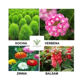 Kochia ,Balsam, verebena ,zinnia flower seeds 200+ seeds with growing cocopeat