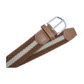 Loopa Brown Nylon Casual Belt Pack of 1 - None