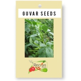 Recron Seeds - Beans Vegetable ( 10 Seeds )