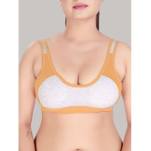 HAYA Multicolor Cotton Non Padded Womens Push Up Bra ( Pack of 2 ) - None