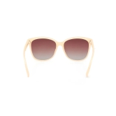 Brown Wayfarer Sunglasses for Women