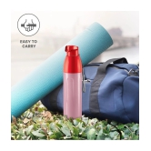 Milton Kool Convex 1100 Insulated Inner Pet Water Bottle, 900 ml, Light Red | Easy To Carry | Leak Proof | School | Office | Gym | Hiking | Treking | Travel Bottle - Red