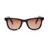 Brown Wayfarer Sunglasses for Men