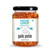 Natureland Organics Green Chilli And Garlic Pickle, 350 gm Each - Pack of 2