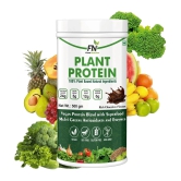 Floral Nutrition - 100% Plant Protein Powder Plant Protein Powder ( 500 gm Rich Chocolate )