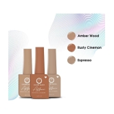 Colors Queen - Multi Matte Nail Polish ( Pack of 3 )