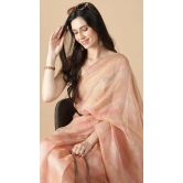 Organza Saree