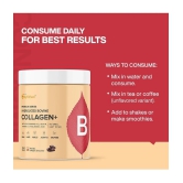 MyFitFuel Hydrolyzed Bovine Collagen with Hyaluronic Acid, Biotin, Zinc & Vitamin C. 500g, Chocolate