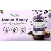 Farm Naturelle: Jamun Flower Honey, Wild Forest Honey |1450g and a Wooden Spoon |100% Pure Honey, Raw Natural Un-Processed - Un-Heated Honey | Lab Tested in Glass Bottle.