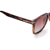 Brown Wayfarer Sunglasses for Unisex