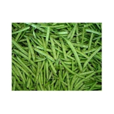 BS SEEDS luster Beans Organic F1 Hybrid Seeds 50 TO 100 SEEDS