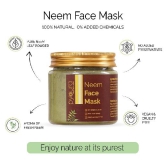 Neem Face Mask