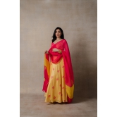 Pink and Yellow Phulkari lehenga Set-2XL