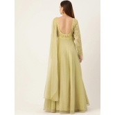 Desginer Green Net Gown-XXL