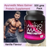 Nutriley Amino mass Whey Protein ( 500 gm , Vanilla - Flavour )