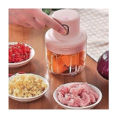 ASIAN - Chopper Multicolour Acrylic Electric Chopper 300 ml ( Pack of 1 ) - Multicolour