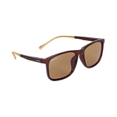 Creature - Brown Square Sunglasses ( Pack of 1 ) - Medium