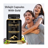 Nutriley Shilajeet Gold Capsules, Pure Shilajit for Vigour & Vitality, 60 gm Minerals Capsule